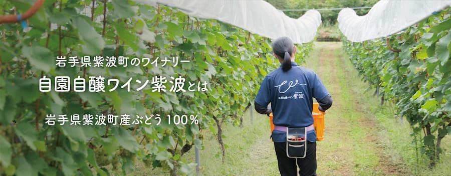 岩手県紫波町のワイナリー 自園自醸ワイン紫波とは 岩手県産紫波町産ぶどう100%