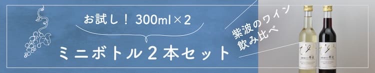 紫波のワイン飲み比べ ミニボトル2本セット