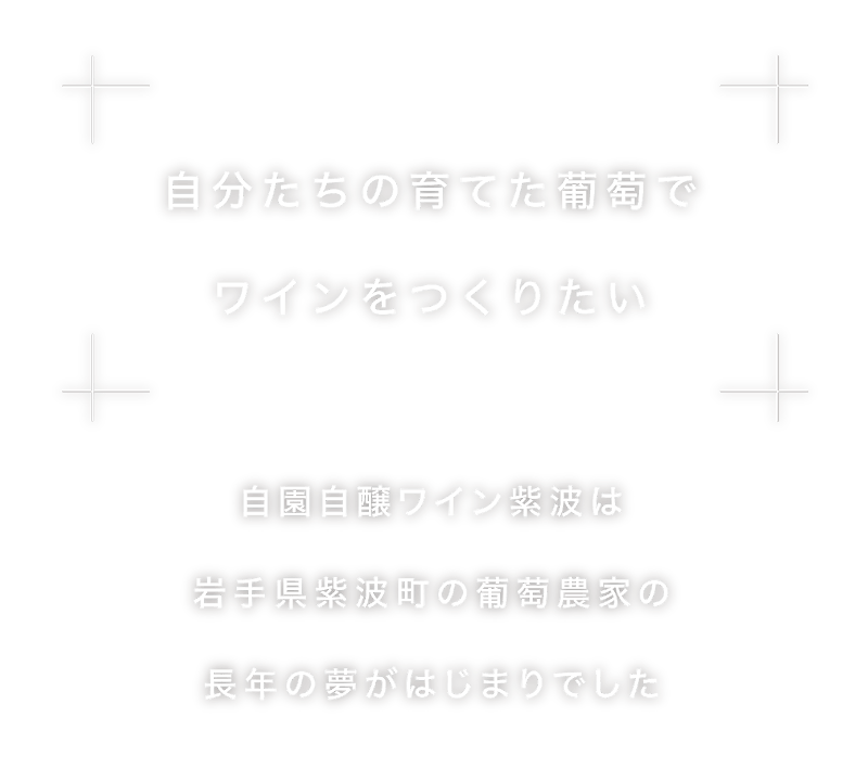 自分たちの葡萄でワインを作りたい