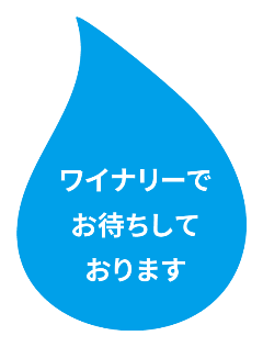 ワイナリーでお待ちしております